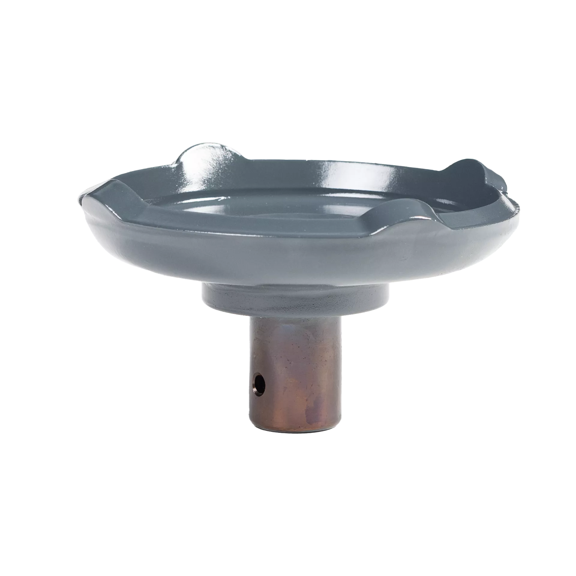 FSD11